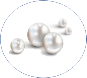 Ekstrak Pearl Ekstrak Pearl